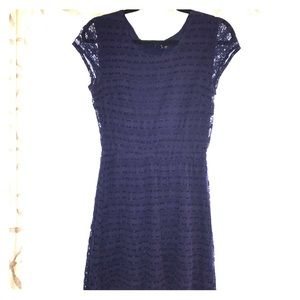 Navy Lace Dress
